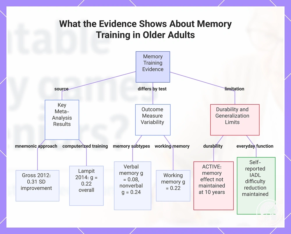 What the Evidence Shows About Memory Training in Older Adults